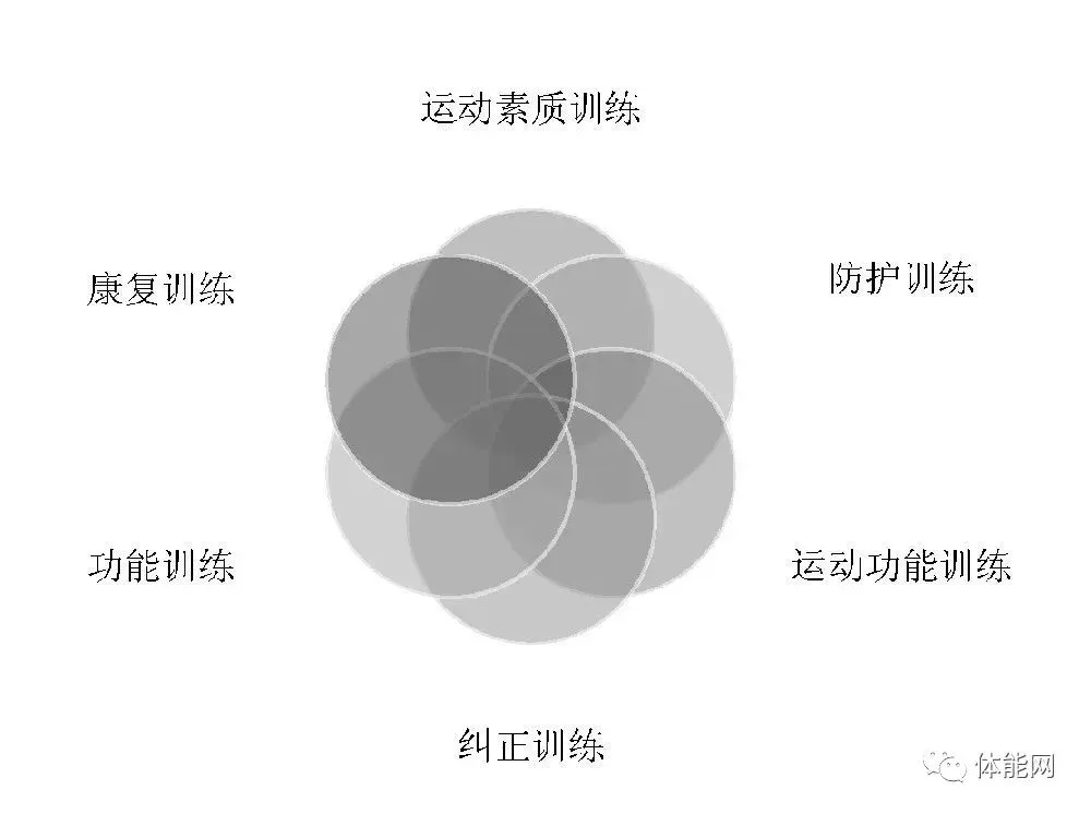 篮球一周训练计划控球后卫_1